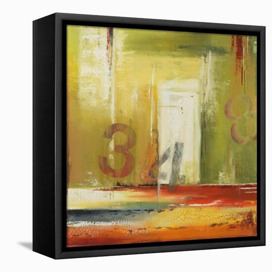 House 34-Patricia Pinto-Framed Stretched Canvas