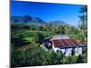 House Amidst the Rice Terraces in the Rice and Coffee Growing Heart of Western Flores, Indonesia-Robert Francis-Mounted Photographic Print