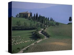 House and Cypress Trees, Val d'Orcia, Siena Provice, Tuscany, Italy-Bruno Morandi-Stretched Canvas