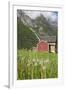 House and Field with Dandelions-Eleanor-Framed Photographic Print