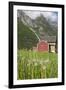 House and Field with Dandelions-Eleanor-Framed Photographic Print