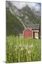 House and Field with Dandelions-Eleanor-Mounted Photographic Print