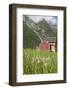 House and Field with Dandelions-Eleanor-Framed Photographic Print