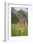 House and Field with Dandelions-Eleanor-Framed Photographic Print