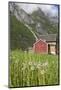 House and Field with Dandelions-Eleanor-Mounted Photographic Print