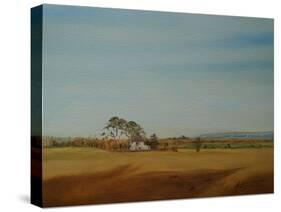 House and Fields, 2016-Antonia Myatt-Stretched Canvas