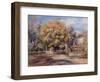 House and Garden at Cagnes, C. 1905-Pierre-Auguste Renoir-Framed Giclee Print