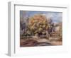 House and Garden at Cagnes, C. 1905-Pierre-Auguste Renoir-Framed Giclee Print