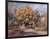 House and Garden at Cagnes, C. 1905-Pierre-Auguste Renoir-Framed Giclee Print