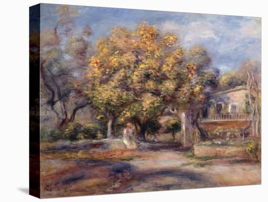 House and Garden at Cagnes, C. 1905-Pierre-Auguste Renoir-Stretched Canvas