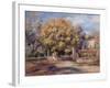 House and Garden at Cagnes, C. 1905-Pierre-Auguste Renoir-Framed Giclee Print