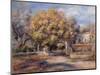 House and Garden at Cagnes, C. 1905-Pierre-Auguste Renoir-Mounted Premium Giclee Print