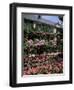 House and Garden of Claude Monet, Giverny, Haute-Normandie (Normandy), France-Roy Rainford-Framed Photographic Print