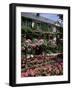 House and Garden of Claude Monet, Giverny, Haute-Normandie (Normandy), France-Roy Rainford-Framed Photographic Print