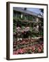 House and Garden of Claude Monet, Giverny, Haute-Normandie (Normandy), France-Roy Rainford-Framed Photographic Print