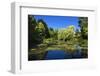 House and Gardens of Claude Monet, Giverny, Lower Normandy, France-Massimo Borchi-Framed Photographic Print