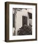 House and Grape Leaves, 1934-Alfred Stieglitz-Framed Art Print