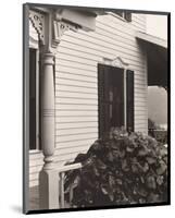 House and Grape Leaves, 1934-Alfred Stieglitz-Mounted Art Print