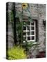 House and Sunflower, Yorkshire Dales National Park, Yorkshire, England, United Kingdom, Europe-Patrick Dieudonne-Stretched Canvas