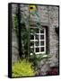 House and Sunflower, Yorkshire Dales National Park, Yorkshire, England, United Kingdom, Europe-Patrick Dieudonne-Framed Stretched Canvas