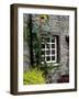 House and Sunflower, Yorkshire Dales National Park, Yorkshire, England, United Kingdom, Europe-Patrick Dieudonne-Framed Photographic Print