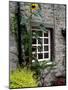 House and Sunflower, Yorkshire Dales National Park, Yorkshire, England, United Kingdom, Europe-Patrick Dieudonne-Mounted Photographic Print