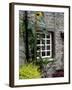 House and Sunflower, Yorkshire Dales National Park, Yorkshire, England, United Kingdom, Europe-Patrick Dieudonne-Framed Photographic Print