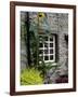 House and Sunflower, Yorkshire Dales National Park, Yorkshire, England, United Kingdom, Europe-Patrick Dieudonne-Framed Photographic Print