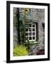 House and Sunflower, Yorkshire Dales National Park, Yorkshire, England, United Kingdom, Europe-Patrick Dieudonne-Framed Photographic Print