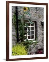 House and Sunflower, Yorkshire Dales National Park, Yorkshire, England, United Kingdom, Europe-Patrick Dieudonne-Framed Photographic Print