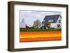 House and Tulipfield-Colette2-Framed Premium Photographic Print