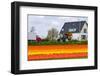 House and Tulipfield-Colette2-Framed Premium Photographic Print