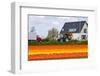 House and Tulipfield-Colette2-Framed Premium Photographic Print