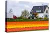 House and Tulipfield-Colette2-Stretched Canvas