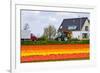House and Tulipfield-Colette2-Framed Photographic Print