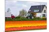 House and Tulipfield-Colette2-Mounted Photographic Print