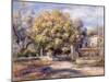 House at Cagnes, C.1905-Pierre-Auguste Renoir-Mounted Giclee Print