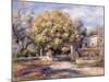 House at Cagnes, C.1905-Pierre-Auguste Renoir-Mounted Giclee Print