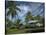 House at Kalahu Point near Hana, Maui, Hawaii, USA-Bruce Behnke-Stretched Canvas