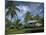 House at Kalahu Point near Hana, Maui, Hawaii, USA-Bruce Behnke-Mounted Photographic Print