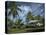 House at Kalahu Point near Hana, Maui, Hawaii, USA-Bruce Behnke-Stretched Canvas