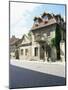 House at the Republic of Uzupis, the Bohemian Heart of the City, Vilnius, Lithuania-Yadid Levy-Mounted Photographic Print