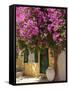 House Covered in Bougainvillea, Paxos, the Ionian Islands, Greek Islands, Greece, Europe-Neil Farrin-Framed Stretched Canvas