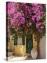 House Covered in Bougainvillea, Paxos, the Ionian Islands, Greek Islands, Greece, Europe-Neil Farrin-Stretched Canvas