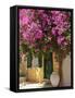 House Covered in Bougainvillea, Paxos, the Ionian Islands, Greek Islands, Greece, Europe-Neil Farrin-Framed Stretched Canvas
