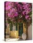 House Covered in Bougainvillea, Paxos, the Ionian Islands, Greek Islands, Greece, Europe-Neil Farrin-Stretched Canvas