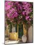 House Covered in Bougainvillea, Paxos, the Ionian Islands, Greek Islands, Greece, Europe-Neil Farrin-Mounted Photographic Print