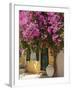 House Covered in Bougainvillea, Paxos, the Ionian Islands, Greek Islands, Greece, Europe-Neil Farrin-Framed Photographic Print