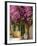 House Covered in Bougainvillea, Paxos, the Ionian Islands, Greek Islands, Greece, Europe-Neil Farrin-Framed Photographic Print