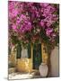 House Covered in Bougainvillea, Paxos, the Ionian Islands, Greek Islands, Greece, Europe-Neil Farrin-Mounted Photographic Print